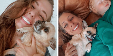 Stacey Solomon admits she feels “sad and guilty” over death of beloved dog
