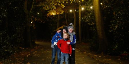 Illuminated free family forest walks in Marlay Park & Cabinteely Park to remain open