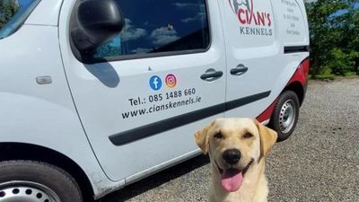 Crumlin Children’s Hospital introduce new initiative that brings pets to patients