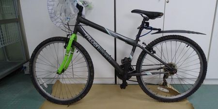 Ashling Murphy: An Garda Síochána are appealing for information on this bike