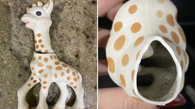 Mum issues warning after discovering mould in Sophie the giraffe teether