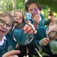 Here’s how your kids can learn about the importance of Irish nature in a fun and interactive way