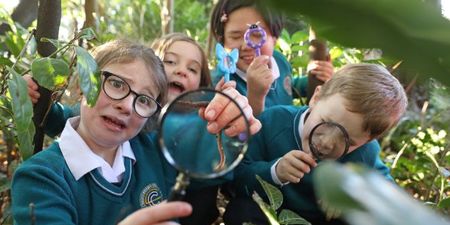 Here’s how your kids can learn about the importance of Irish nature in a fun and interactive way