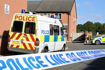 Schoolgirl (12) left badly shaken after man in van tried to kidnap her