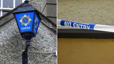 Elderly woman found dead after tragic accident in Galway