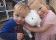 “Lost for words”: Tributes paid to brother and sister killed in car crash