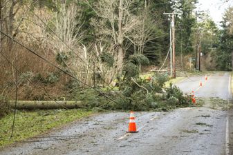 Storm Eunice: Will schools be forced to close ahead of blustery conditions?