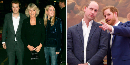 People are baffled as they’re just finding out Prince William and Harry have step siblings