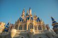 Disney is looking for a student in Ireland for an amazing new internship