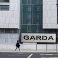 Boy seriously injured after alleged dog attack in Wexford