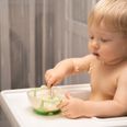 Professor of paediatrics advises parents to introduce food sooner to avoid allergies