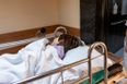 Toddler left with horrific injuries after “perfect” family dog attacks her