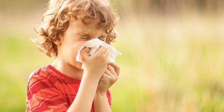 Hayfever? Twitter users swear this common household remedy works