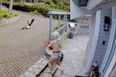 Brave, breastfeeding mother saves pet goose from bald eagle