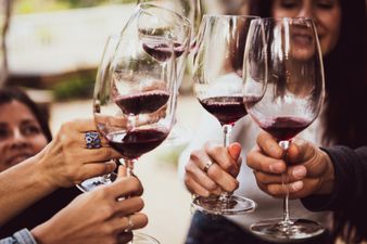 The dream! You can actually get paid to drink wine on holiday