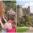Things to do with kids: We visited Malahide Castle and Gardens for a day of family fun