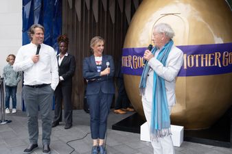 Ian McKellen to star in Mother Goose at Bord Gáis Energy Theatre