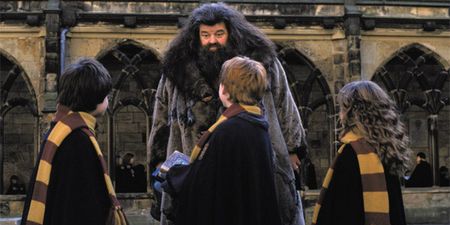 Harry Potter actor Robbie Coltrane has sadly passed away