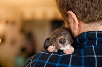 Dogs Trust seek public’s help after taking in 54 puppies in 3 weeks