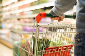 The extra section on shopping trolleys actually has a function