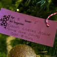 Heartbreaking letters to Santa on pub Christmas tree highlight cost of living crisis as children ask for ‘clean clothes’ and ‘anything’