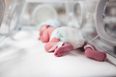 Newborn babies to be screened for severe combined immunodeficiency in Ireland