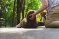 Here’s what to do if someone is having a seizure