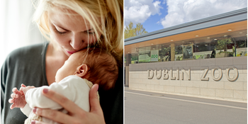 WIN: Tickets to the Pregnancy & Baby Fair, a Dublin Zoo family pass AND a hamper of baby essentials