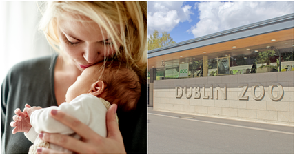 WIN: Tickets to the Pregnancy & Baby Fair, a Dublin Zoo family pass AND a hamper of baby essentials