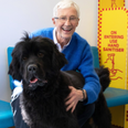 This is when Paul O’Grady’s final For The Love Of Dogs episode will air
