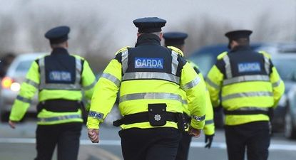 Gardaí are investigating brutal assault on a teenager in Meath