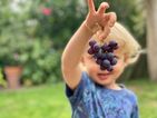 A paramedic has shared a simple hack to check for toddler choking hazards