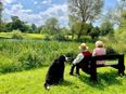 President Higgins pays tribute to his beloved dog Bród