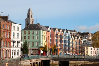 Family has lucky escape after jeep reverses into buggy in Cork