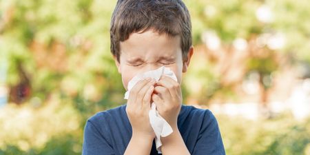 Know the difference between hay fever and a cold as Met Eireann warn of high pollen count this weekend