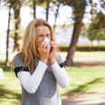 Hay fever: How to beat symptoms so you can enjoy the outdoors this Summer