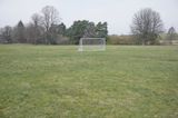 DSPCA urges families to remove goal posts from gardens each night amid rise in injuries