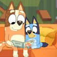A brand new series of Bluey is coming to Disney+ this summer