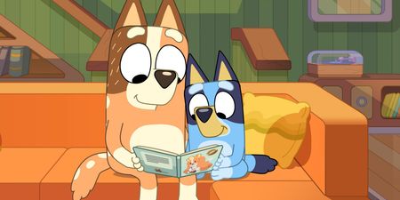 A brand new series of Bluey is coming to Disney+ this summer