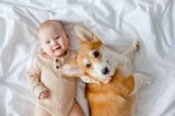 ‘My baby is allergic to our beloved dogs and now I don’t know what to do’