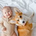 ‘My baby is allergic to our beloved dogs and now I don’t know what to do’