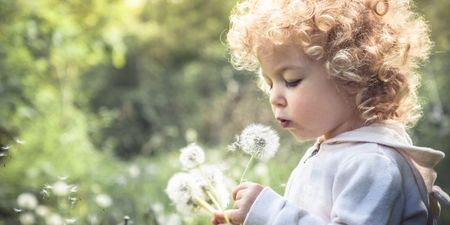 The best ways to help your kids with hay fever symptoms