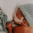 The heartwarming reason why premature babies are given octopus teddies