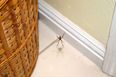 Mum reveals genius hack that will keep spiders out of your house