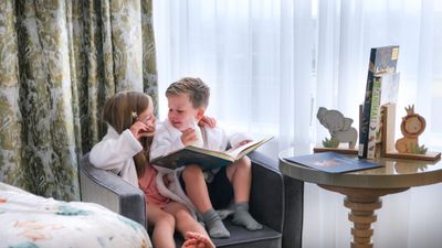 Dublin hotel launches new fairy and zoo family rooms