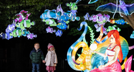 Dublin Zoo announces new opening times ahead of Wild Lights