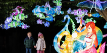 Wild Lights at Dublin Zoo will have a magical new theme this year