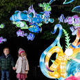 Wild Lights at Dublin Zoo will have a magical new theme this year