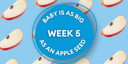 Your baby at 5 weeks: Week-by-week guide to pregnancy