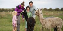 Farmyard friends: Brighten up your break with these family fun attractions